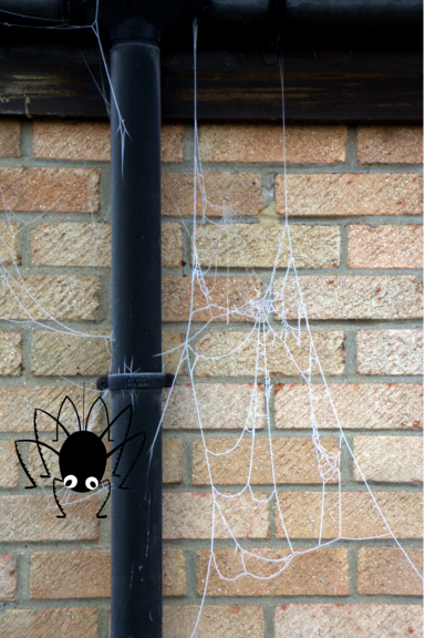 Picture of a cartoon spider on a water spout